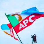 Zaɓen fidda gwani na APC: Dattawan Zamfara sun yaba wa Tinubu da Matawalle saboda cimma matsaya ba tare da rikici ba