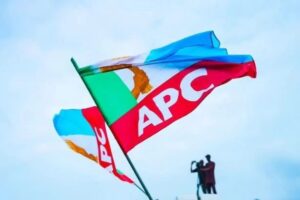 Zaɓen fidda gwani na APC: Dattawan Zamfara sun yaba wa Tinubu da Matawalle saboda cimma matsaya ba tare da rikici ba